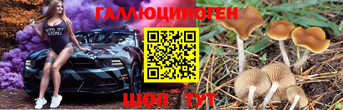 Галлюциногенные грибы мицелий Моршанск
